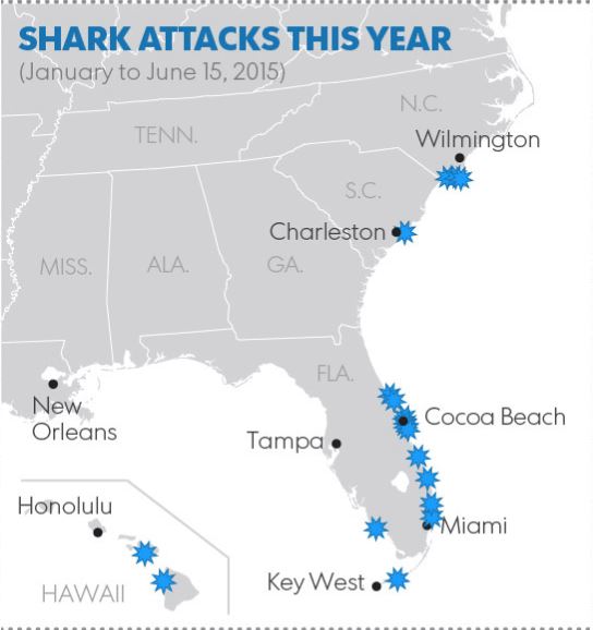 Shark! Two teens lose arms in shark attacks on North Carolina beach – Metro  US
